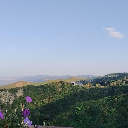 Guesthouse Fatima Sighnaghi Ngoại thất bức ảnh