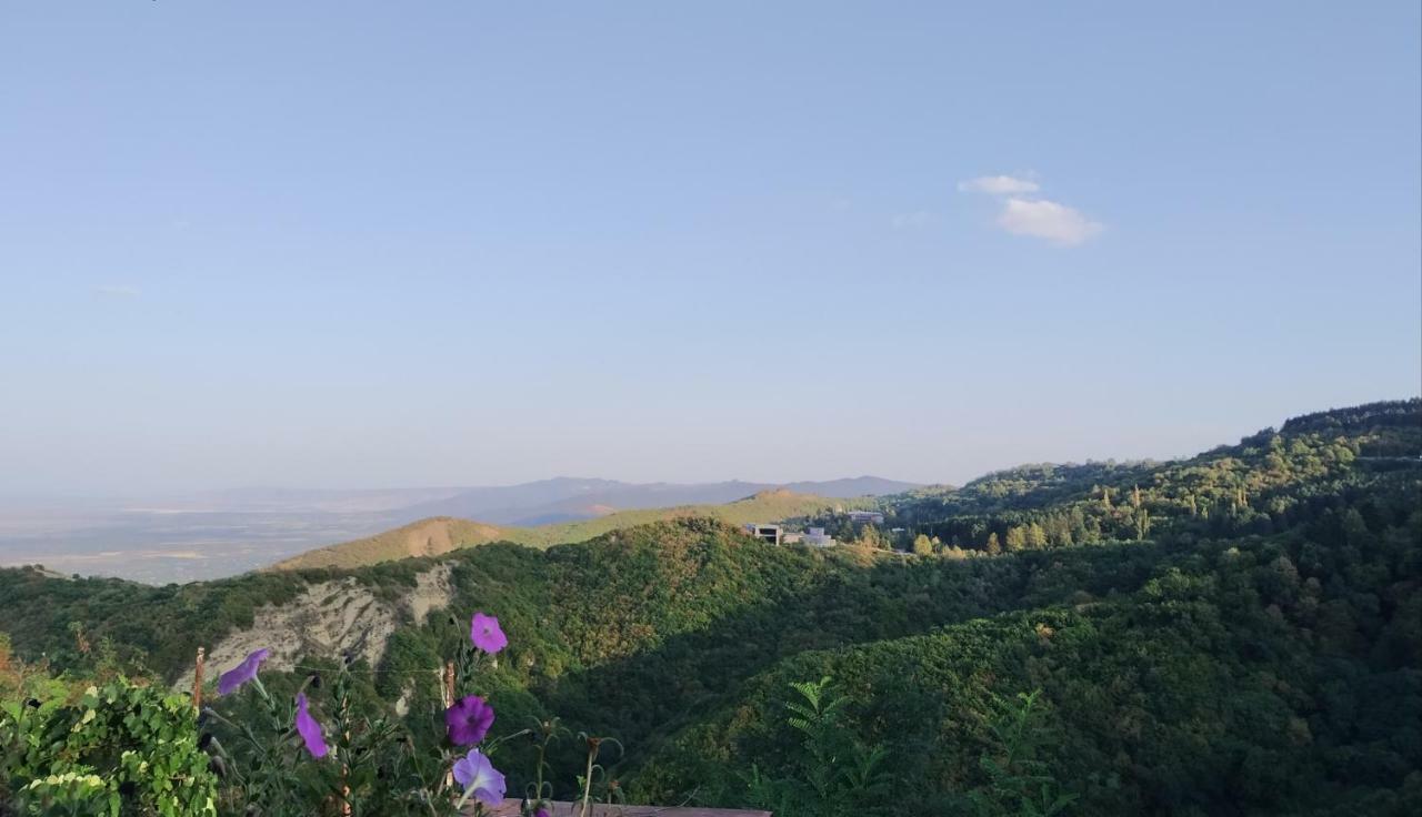 Guesthouse Fatima Sighnaghi Ngoại thất bức ảnh